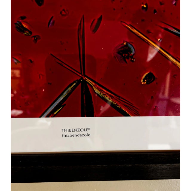 Scientific Photomicrography Prints by Jack Kath Set of 4 For Sale - Image 9 of 12