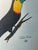 1960s Costa Rican Toucan Bird Watercolor in Gold Frame For Sale - Image 4 of 4