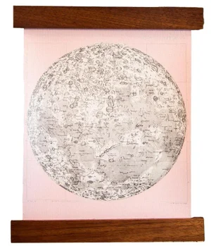 Ballerina Pink Mini Moon Chart Art Print Canvas