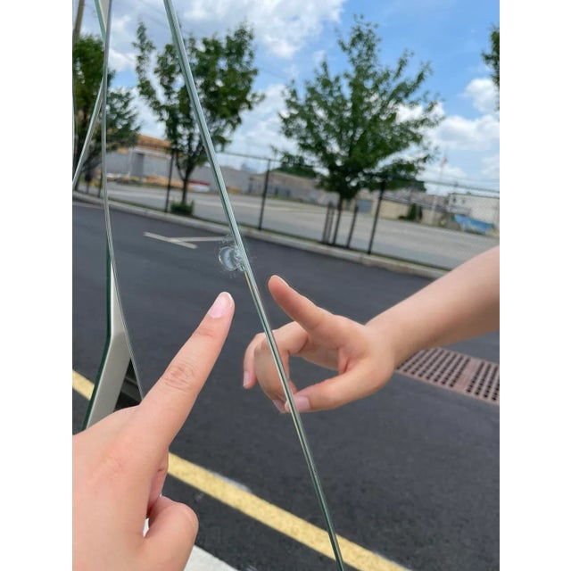 Karl Springer 1980s Lacquer Mirror Floral Room Divider For Sale - Image 4 of 6