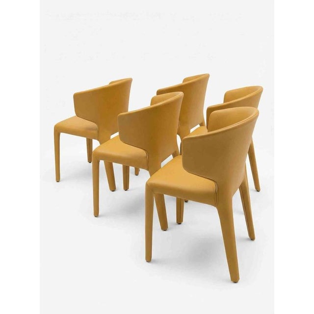 Elegant set of Hola 367 Chairs by Hannes Wettstein for Cassina. Structure in tubular steel and poplar plywood. Padding in...