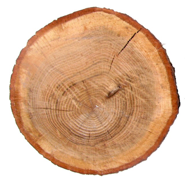 Contemporary Organic Farmhouse Chic Wood Plateaus, Pair For Sale - Image 3 of 5