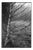 Paul Cooklin, Scan 20211222 93, Edition of 50 For Sale