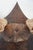 Elk Antler Mounted on Wooden Plaque For Sale - Image 14 of 16
