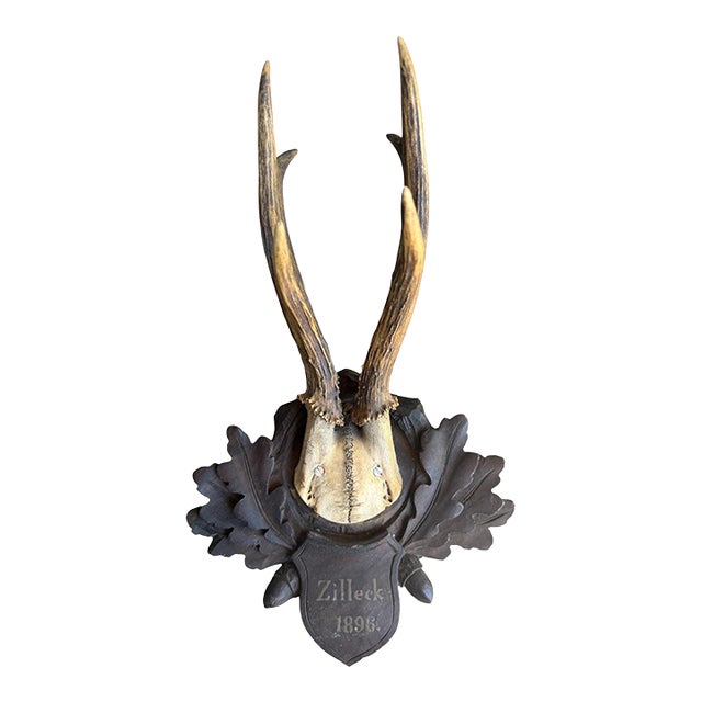 RoE Deer Trophy 171 Black Forest Antlers For Sale