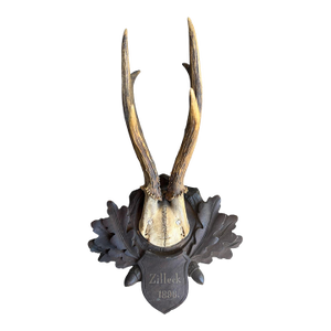 Roe Deer Trophy 171 Black Forest Antlers