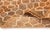 2020s Warm Honeycomb Hand-Knotted Wool Rug | 12'5" X 8'11" | One of a Kind For Sale - Image 5 of 9