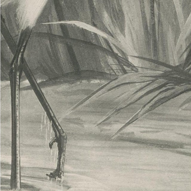 After Lilian Medland, Spoonbill, 1909, Print For Sale - Image 4 of 9
