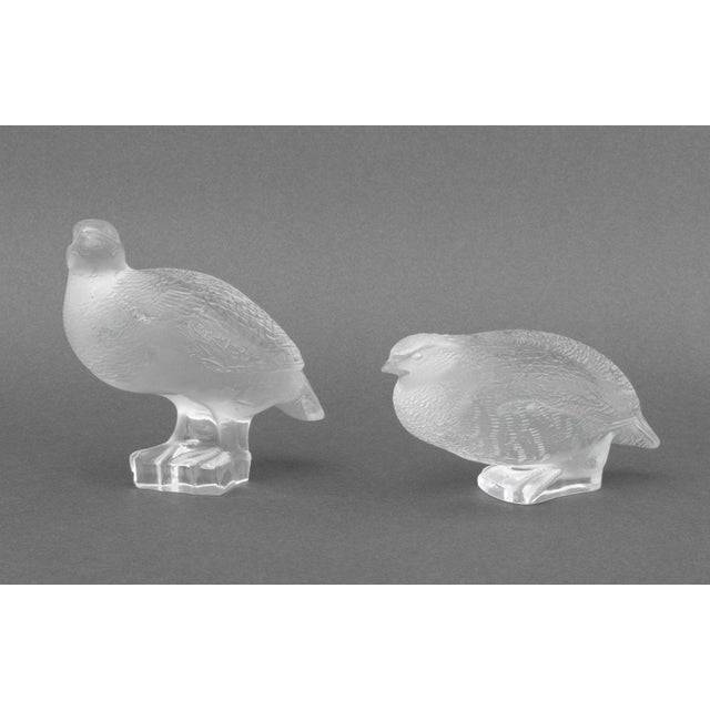 Transparent Lalique Crystal "Perdix" Sculptures, 4 For Sale - Image 8 of 15