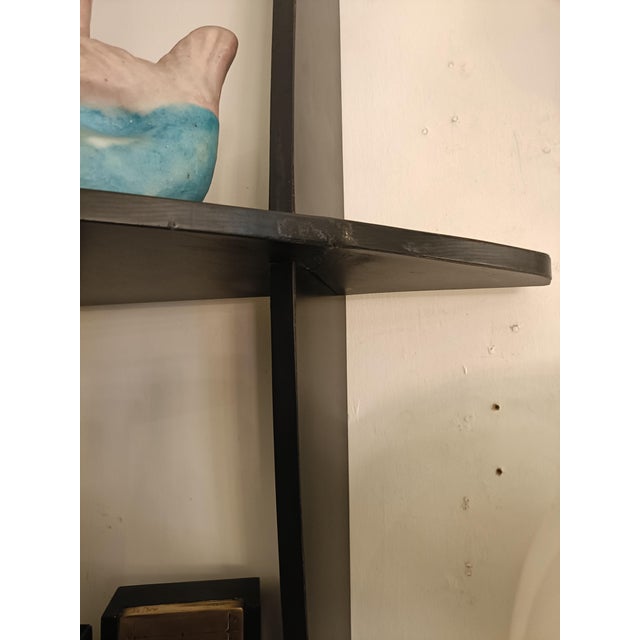 Tyco Wall Bookcase by Manfredo Massironi for Nikol International, Italy, 1970s For Sale - Image 10 of 13