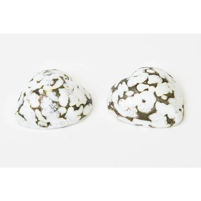 Vintage Murano Glass Heart Sculptures Paperweights 50's Pair of White, Gold For Sale - Image 10 of 12