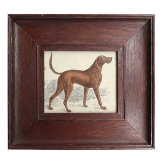 After Cpt. Brown, Bloodhound, 1847, Lithograph, Framed For Sale