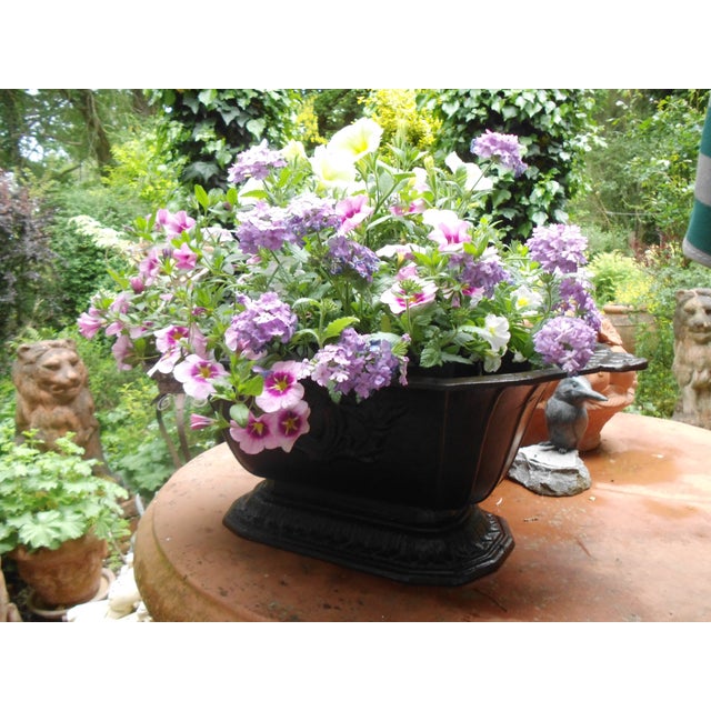 An antique iron jardinière in a classic style, with plenty of patina and character. I oiled the jardinière, which is why...