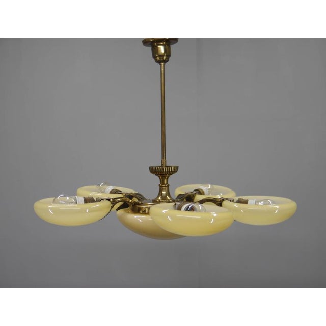 Art Nouveau Six-Light Brass Chandelier by Jencik, Czechoslovakia, 1920s For Sale - Image 10 of 17