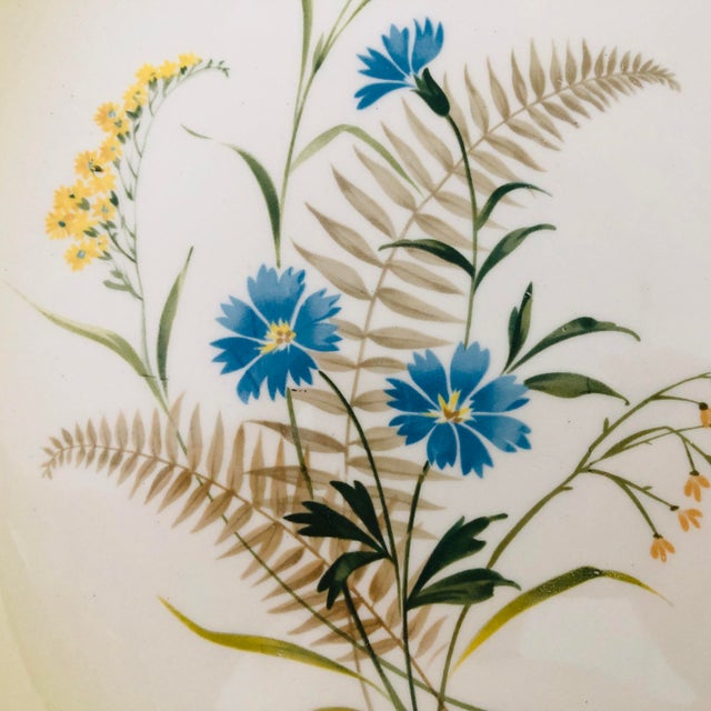 Taylor Smith Mid-Century floral porcelain dinner plates S-8