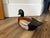 Mallard Duck lidded box with brown felt lining.