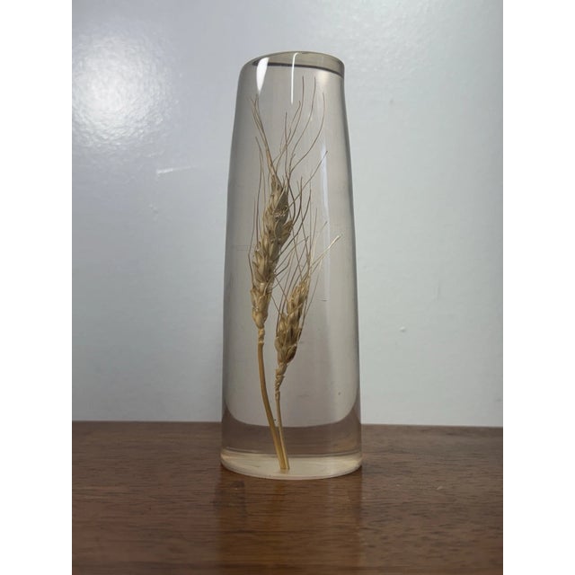 Vintage Daisyglas Hand Crafted Lucite Resin Wheat Paperweight Decor Campbell Ca For Sale - Image 4 of 11