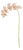 Phalaenopsis Orchid Stems 28" St/4 For Sale