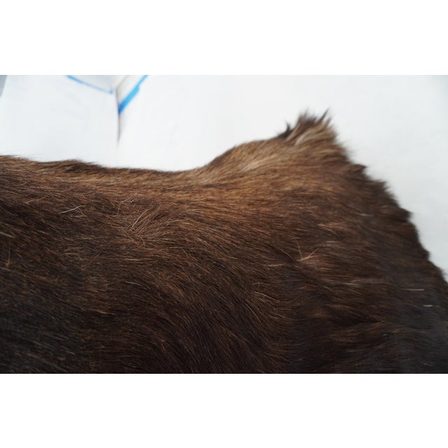 Moose Head Bust Mount For Sale - Image 16 of 18