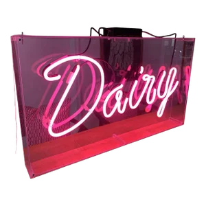 Vintage Pink Neon Dairy Sign in Hanging Lucite Box