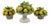 Vintage Petite Italian Majolica Lemon Topiary Set of Three For Sale