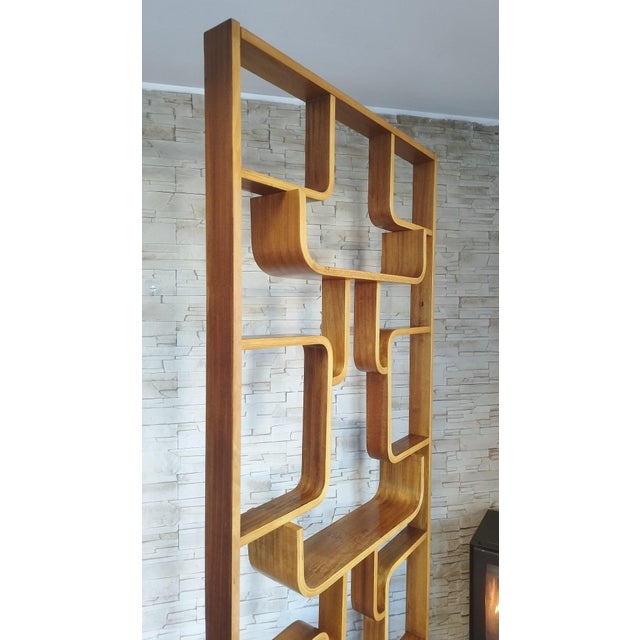 Wall Divider by Ludvik Volak for Drevopodnik Holesov For Sale - Image 10 of 18