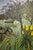 Contemporary Reaching For the Sun by Andrada Trapnell | Oil on board Monkeys in a lush landscape under the sun For Sale - Image 3 of 5