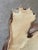 Cinnamon Majolica Pug Dog Pitcher, C1880-1900 For Sale - Image 8 of 11