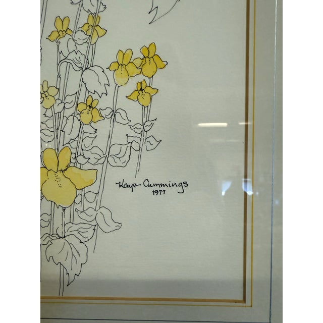 Floral Water Color Drawing by Montana Artist Kaye Cummings 1977 Yellow Floral Line Drawing Framed For Sale - Image 4 of 6