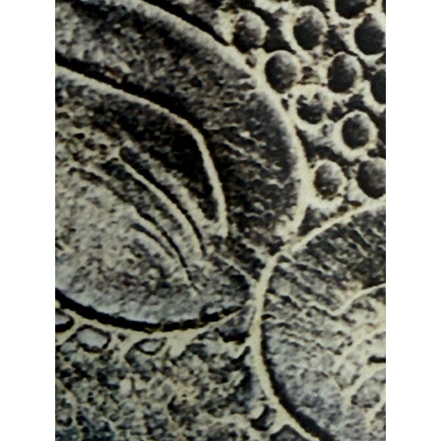 Wood Color Photograph of Leather Tooled Saddle, Framed For Sale - Image 7 of 12