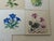 Blue Hand-Painted Botanical Ceramic Tiles by Josef Frank, Meissen, Germany, 1960, Set of 9 For Sale - Image 8 of 15