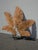 Picture 35" Tall Brown Metal Leaf Clutter Palm Art Wall Decor For Sale In Los Angeles - Image 6 of 16