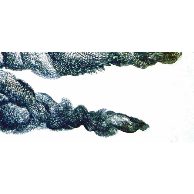 Blue Cloud - Original Etching by Giacomo Porzano - 1972 1972 For Sale - Image 5 of 6