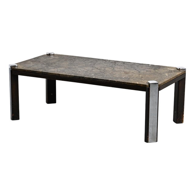 Fossil Stone Coffee Table from Collection Fossile, Switzerland, 1980s For Sale