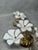 1970s Hollywood Regency Glass Floral Wall Sconces from Gealux, 1970s, Set of 2 For Sale - Image 5 of 8