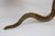1960s Vintage Pair of Brass Cobra Snake MCM Candlesticks For Sale - Image 5 of 8