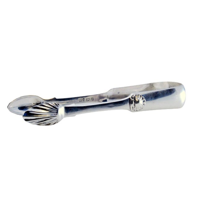 Silver Sugar Tongs with Palms and Shells For Sale - Image 9 of 9