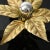Willy Daro Flower-Shaped Wall Lamp by Willy Daro for Massive, 1970s For Sale - Image 4 of 10