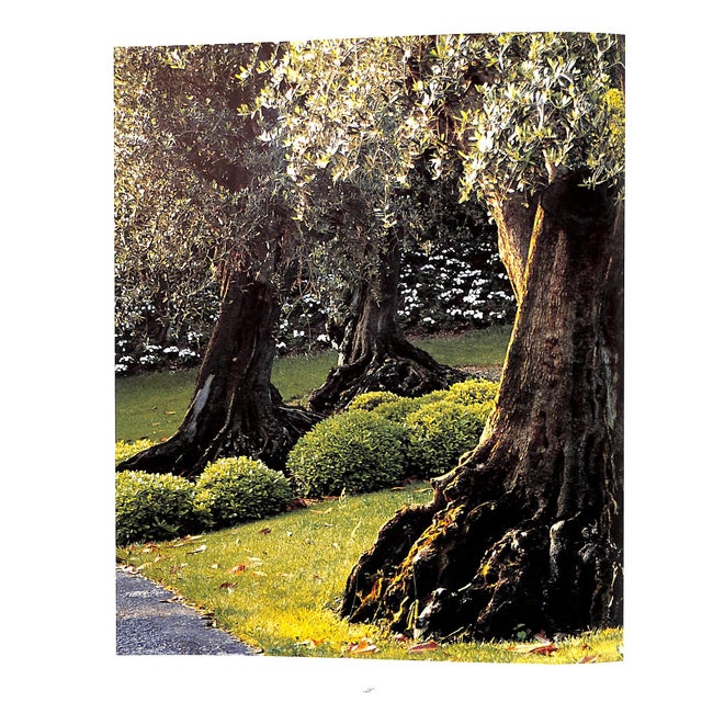 Paper "La Leopolda" 2004 Safra, Lily For Sale - Image 7 of 15