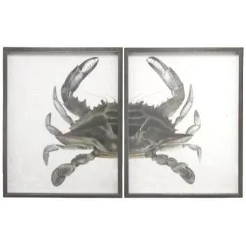 Illustration Green & Grey Split Crab in Pewter Frame - Total 40x26 For Sale - Image 3 of 3