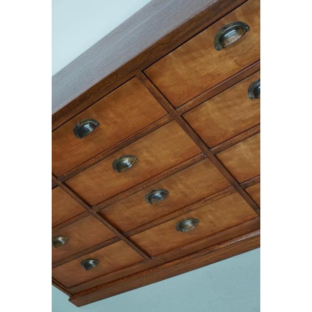 Vintage Dutch Cherry Apothecary Cabinet, 1930s For Sale - Image 4 of 14