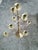 1920s Art Noveau Solid Brass Multi Tiered Candelabra W/ 9 Holders For Sale In Dallas - Image 6 of 6