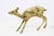 Brass Deer Couple, 1960, Set of 2 For Sale - Image 6 of 15