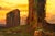 Italian Landscape Painting “View of Roman Campagna Ruins” by Hermann Corrodi For Sale - Image 10 of 18