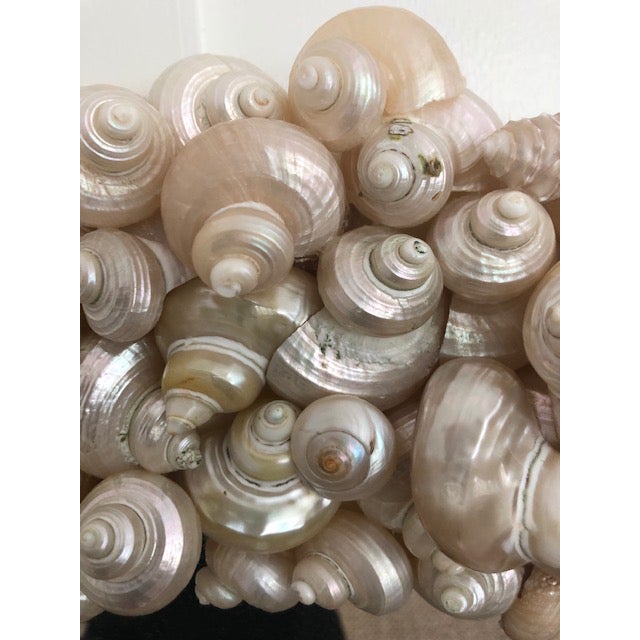 Oly Studio Coastal Oly Studio Oval Shell Mirror For Sale - Image 4 of 7