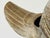 Mid Century Italian Brass Swan Planter For Sale - Image 10 of 13