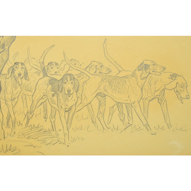 Paul Brown Original Pencil C1937 Drawing Fox-Hunter & Hounds For Sale In New York - Image 6 of 6