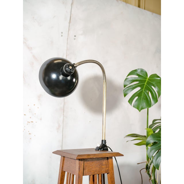 Antique Bauhaus Gooseneck 6740 Clamp Lamp with Super Lampshade by Christian Dell from Kaiser Idell, 1940s For Sale - Image 13 of 14