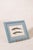 Antique Dolphin Print (C. 1900) Float Mount in Blue Vintage Frame For Sale - Image 4 of 4