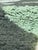 Green Contemporary Moroccan Wool Rug - 9.8 X 8 Ft For Sale In Cleveland - Image 6 of 6